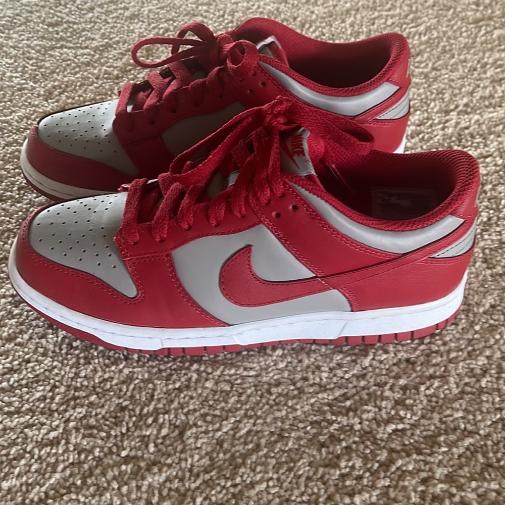 NIKE DUNKS